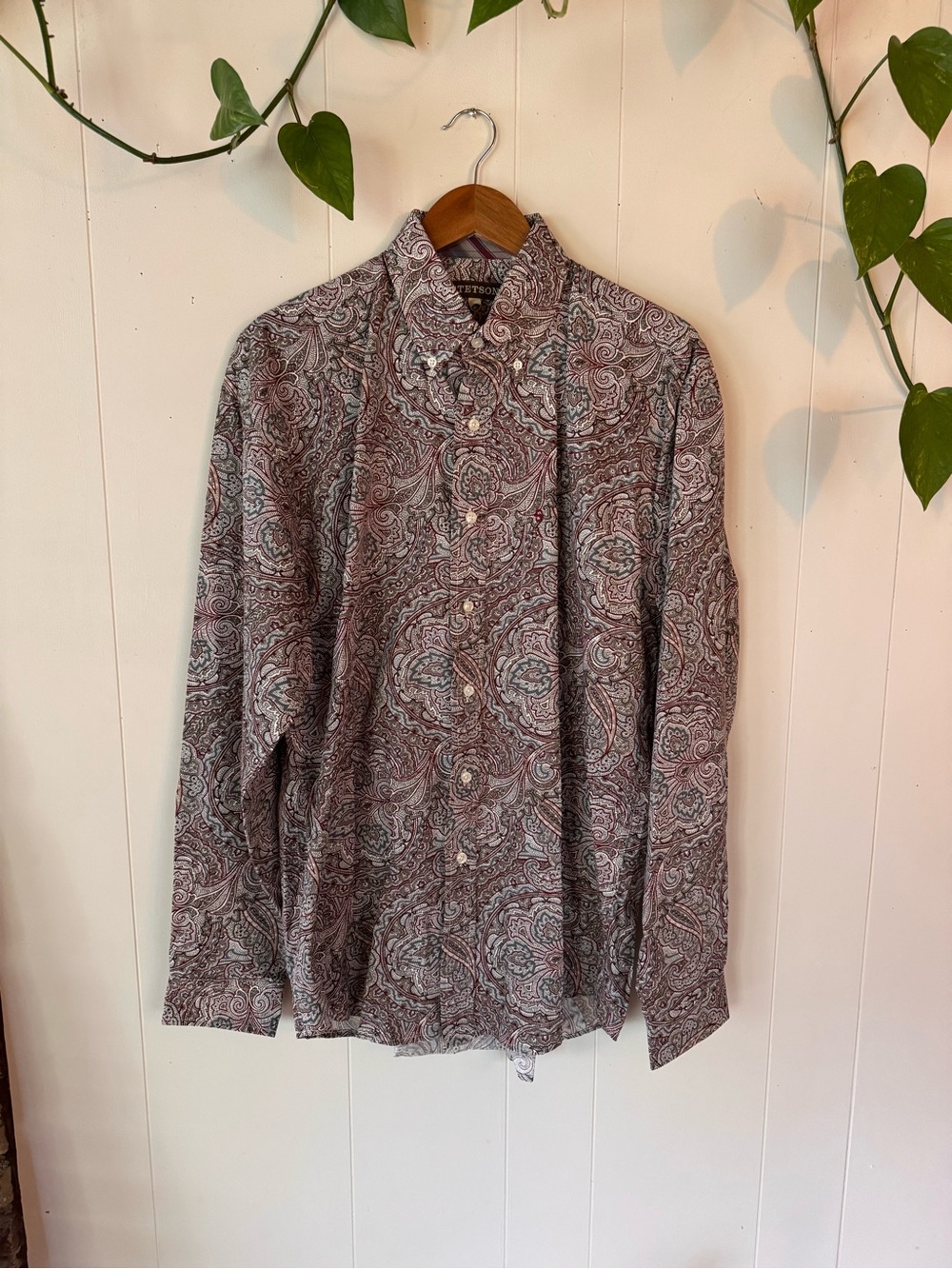 Stetson Paisley Button-Down Shirt in Brown & Cream